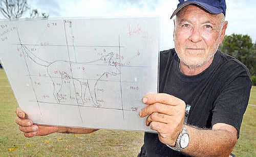 Fraser Coast artist Jorge Pujol. Fraser Coast artist Jorge Pujol.